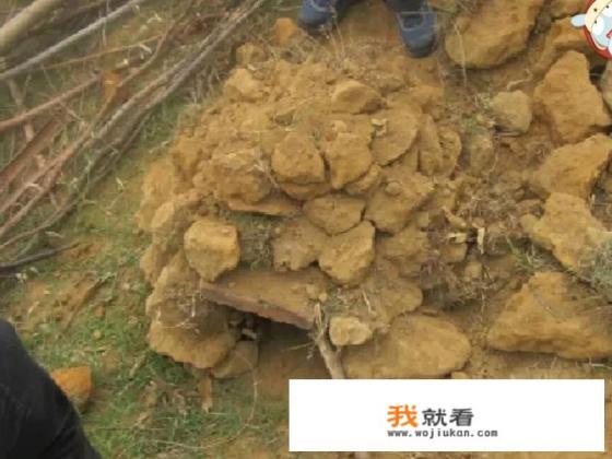 做土窑鸡包几层锡纸好? 做土窑鸡包几层锡纸好?