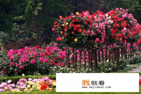 福田车保修多少年? 福田车保修多少年?