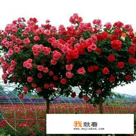 福田车保修多少年? 福田车保修多少年?