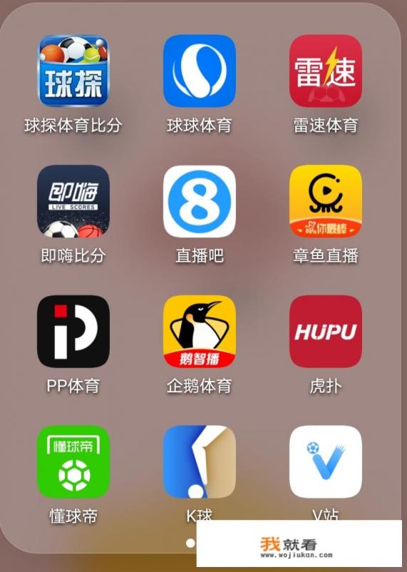 有什么清晰的足球直播信号源推荐? 有什么清晰的足球直播信号源推荐?