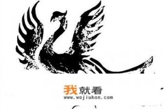 赖毛子鸟学名叫什么? 赖毛子鸟学名叫什么?