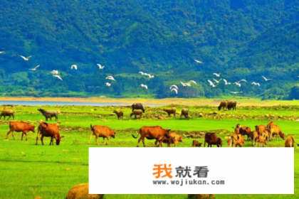 韶关南华寺住宿攻略? 韶关南华寺住宿攻略?