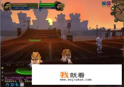 找一本小说主角穿越到游戏世界有法师和德鲁伊两个职业能打怪升级,开始和一个矮人在一起？