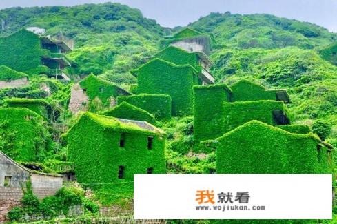 舟山去枸杞岛船票怎么买? 舟山去枸杞岛船票怎么买?