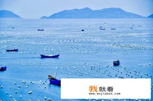 舟山去枸杞岛船票怎么买? 舟山去枸杞岛船票怎么买?