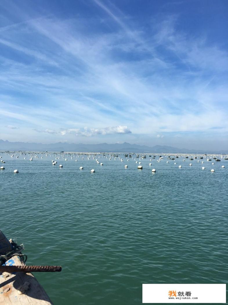 活鲍鱼怎么养? 活鲍鱼怎么养?