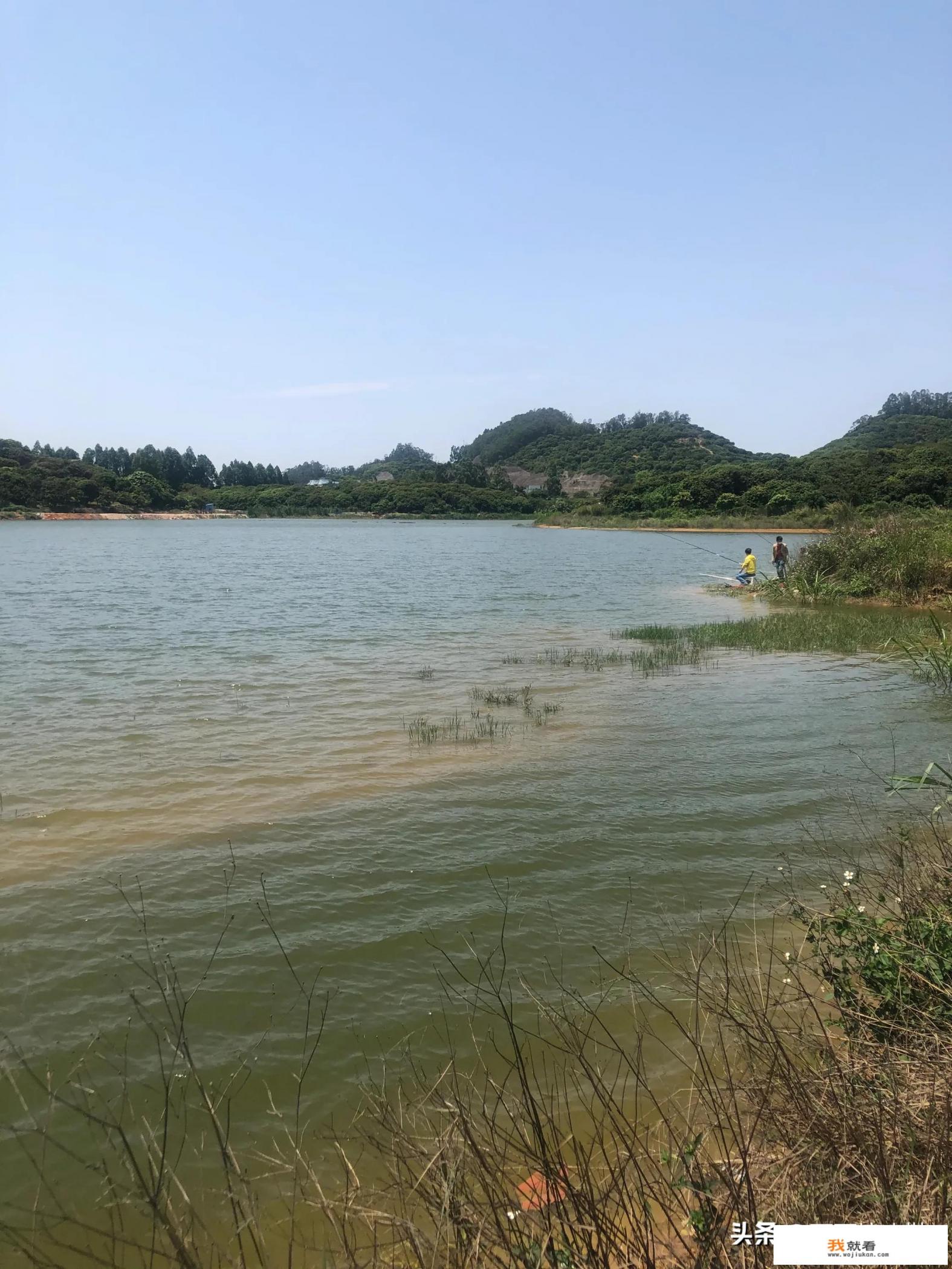 李英文拍视频就可以赚钱,我也能这样吗? 李英文拍视频就可以赚钱,我也能这样吗?