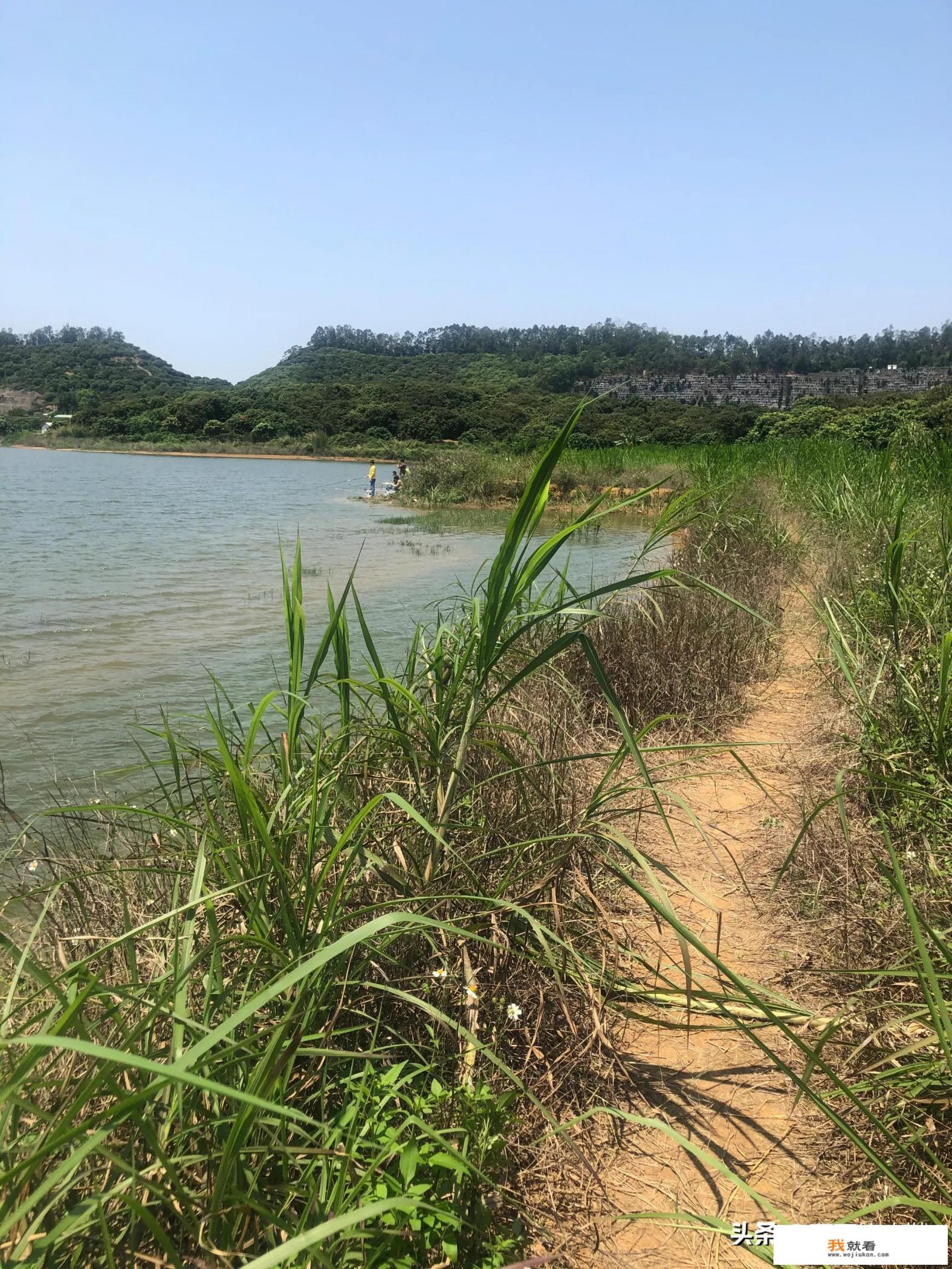 李英文拍视频就可以赚钱,我也能这样吗? 李英文拍视频就可以赚钱,我也能这样吗?