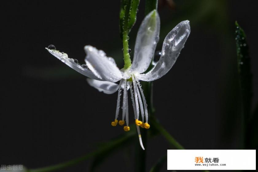 外墙吊篮一边上行一边下行怎么办? 外墙吊篮一边上行一边下行怎么办?