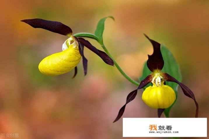 外墙吊篮一边上行一边下行怎么办? 外墙吊篮一边上行一边下行怎么办?