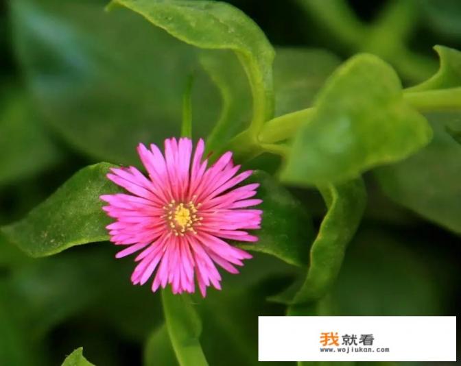 外墙吊篮一边上行一边下行怎么办? 外墙吊篮一边上行一边下行怎么办?