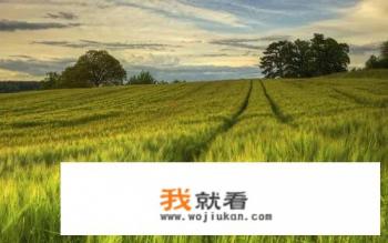 神印王座月姐是谁? 神印王座月姐是谁?