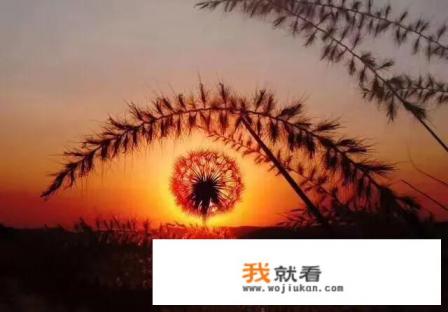 神印王座月姐是谁? 神印王座月姐是谁?