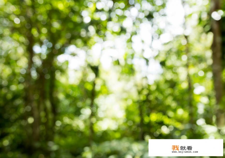 东莞巿有哪些公园? 东莞巿有哪些公园?