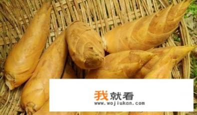 鞭笋是什么笋? 鞭笋是什么笋?