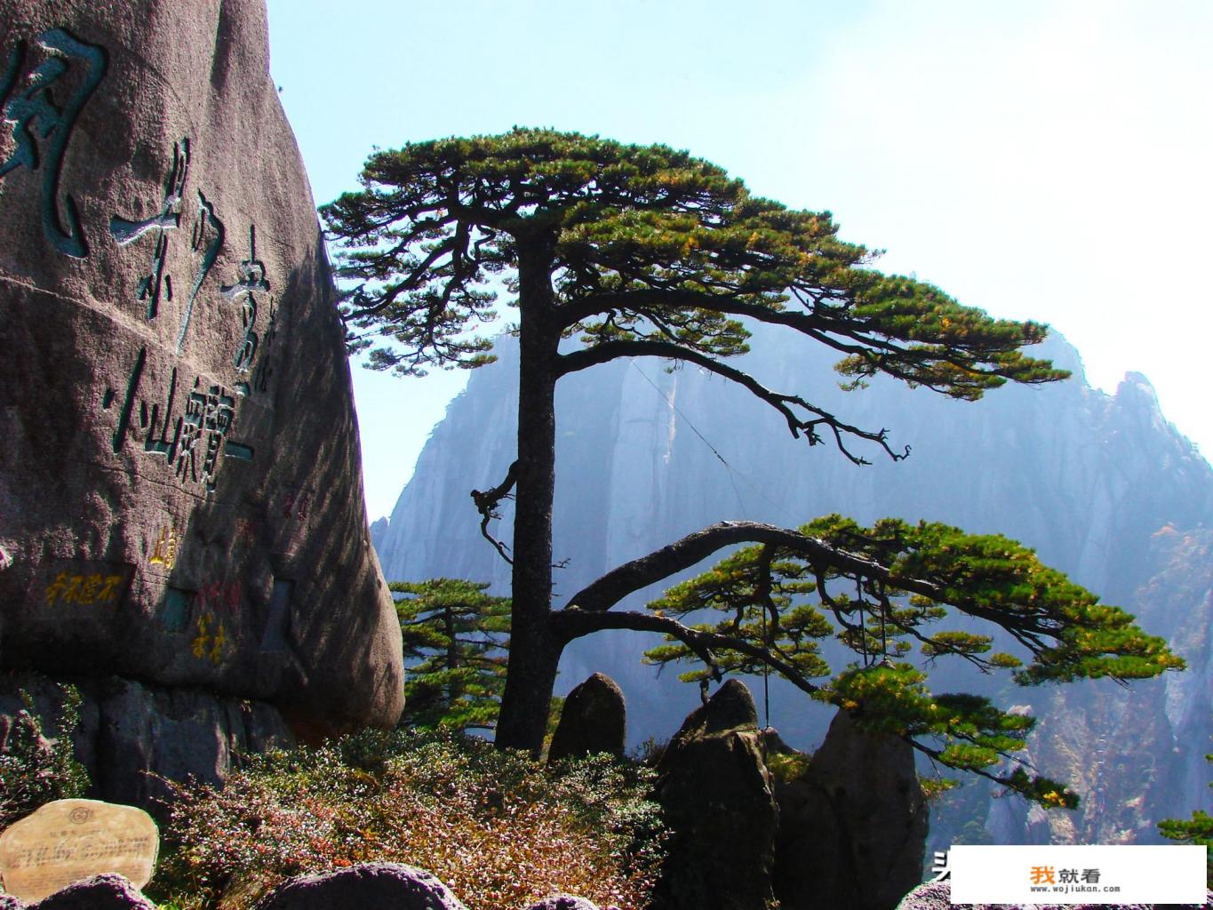 中国最美的山是黄山还是张家界？