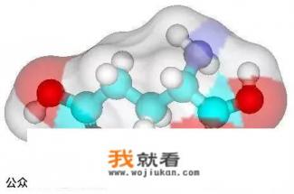 减肥晚上可以吃什么？