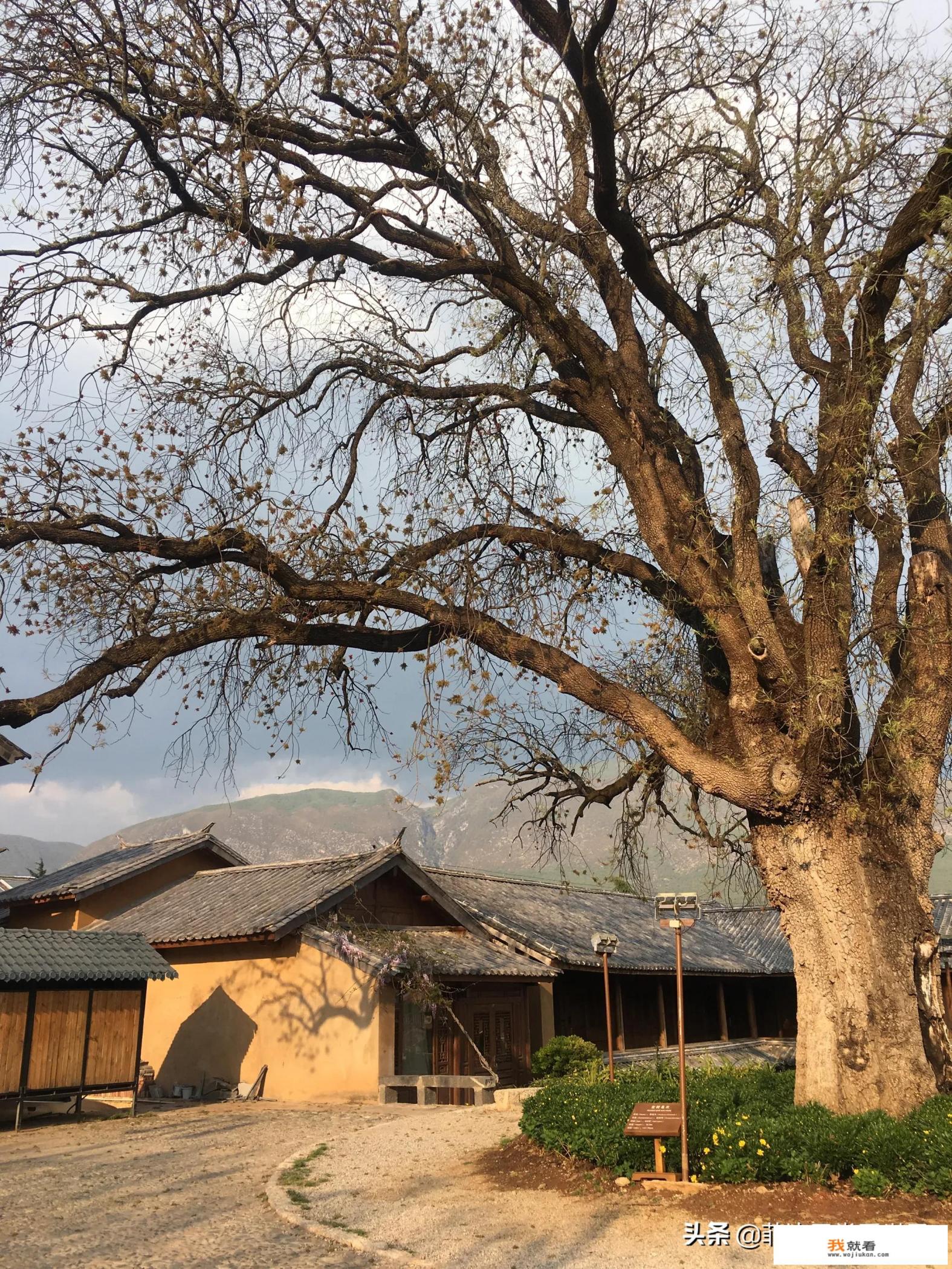 有人去过大理沙溪古镇吗？值得去吗？