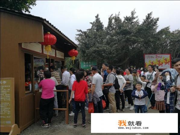 海南火山口历史介绍？