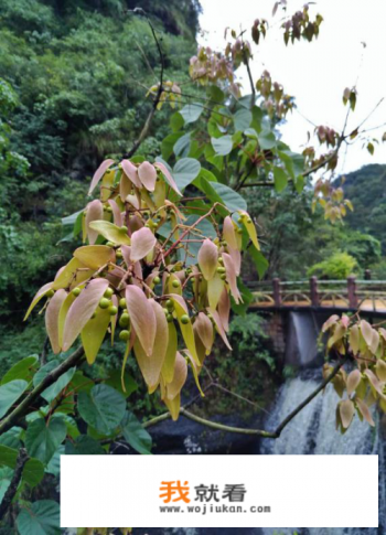 丹霞山为什么游客不多？