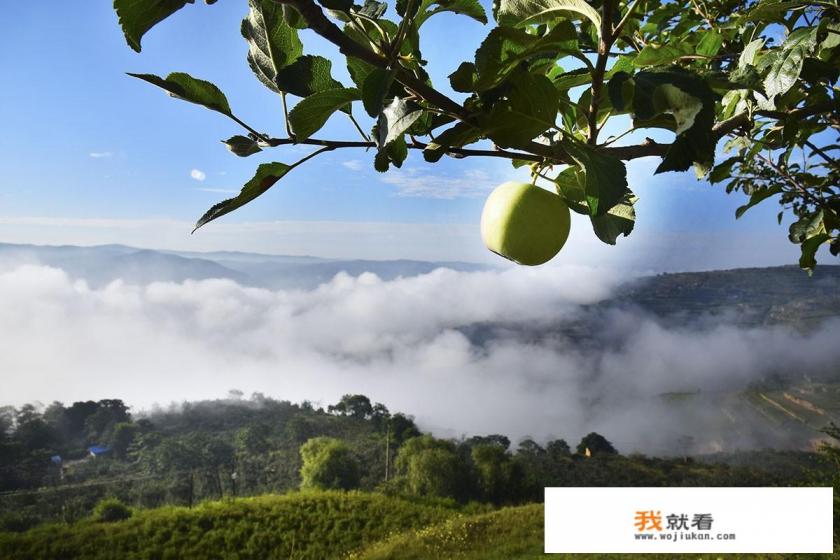 为什么人们会把苹果叫红富士？