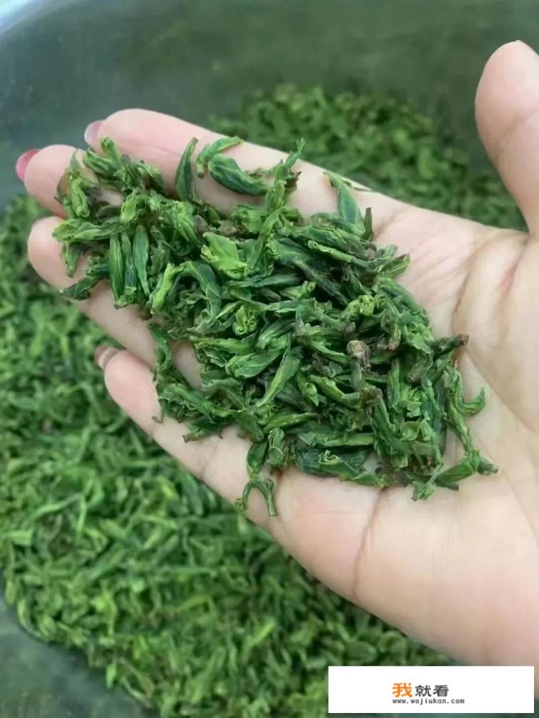 小叶苦丁茶跟大叶苦丁茶有啥区别？喝哪个比较好？