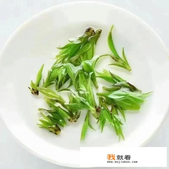 小叶苦丁茶跟大叶苦丁茶有啥区别？喝哪个比较好？