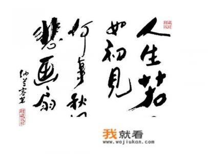 人生若只如初见和人生如只若初见有什么区别？