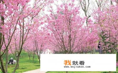 西安有哪些植物园？