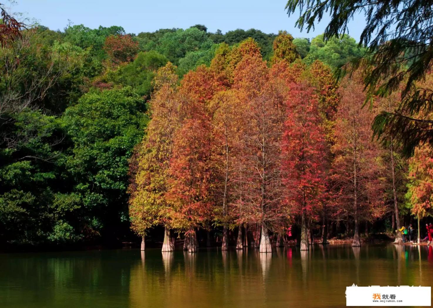 西安有哪些植物园？
