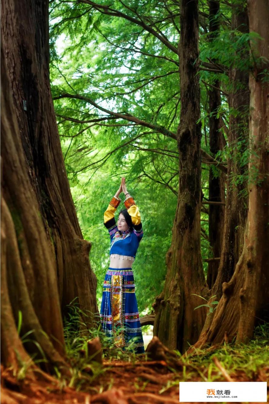 西安有哪些植物园？