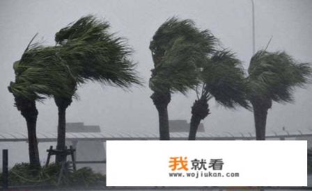 16级台风威力多大? 16级台风威力多大?