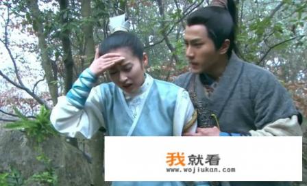 画皮之真爱无悔角色介绍？