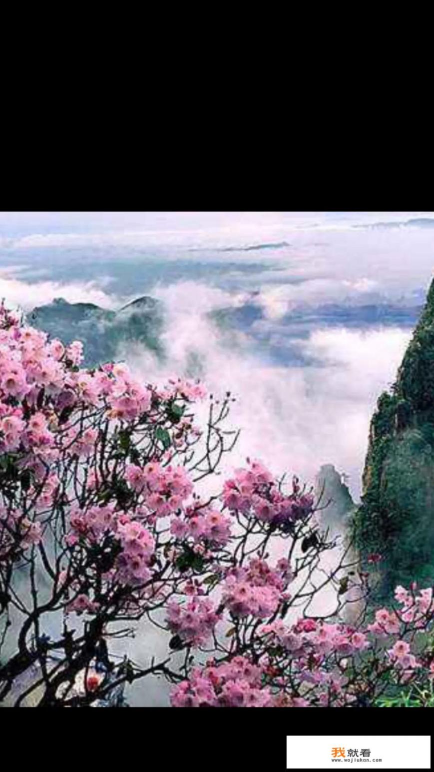 为什么叫三清山? 为什么叫三清山?