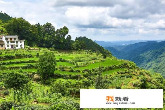 作为热门旅游景点,江西婺源宰客吗? 作为热门旅游景点,江西婺源宰客吗?