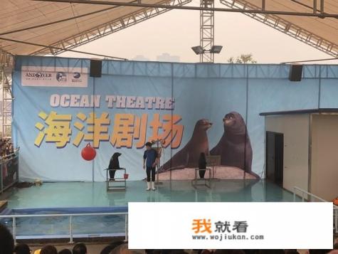 重庆海洋极地世界和融创海洋世界哪个好？