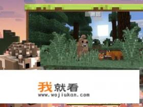 Minecraft国际版怎么下载? Minecraft国际版怎么下载?