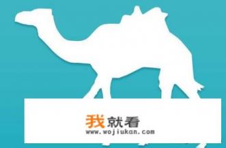 10086最怕哪个部门投诉？