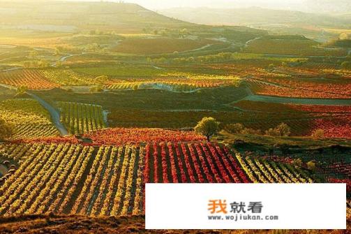 求一部小说，男主有异能穿越到古代，种田文，对穿越过去的那家人特别？