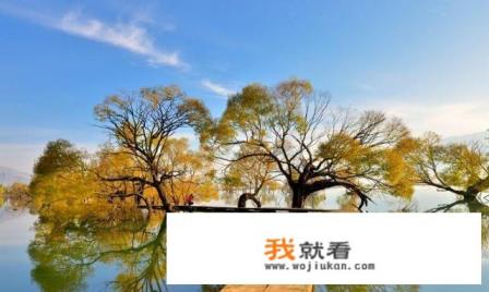 想去云南大理黄龙潭旅游，什么时候去比较好？交通方便吗？