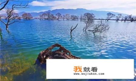 想去云南大理黄龙潭旅游，什么时候去比较好？交通方便吗？