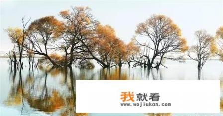 想去云南大理黄龙潭旅游，什么时候去比较好？交通方便吗？