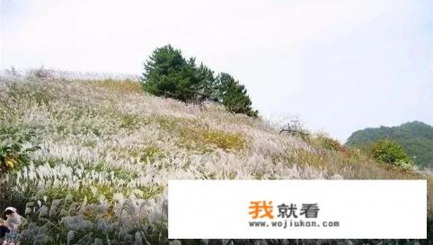 西安周边公园排名前十名? 西安周边公园排名前十名?