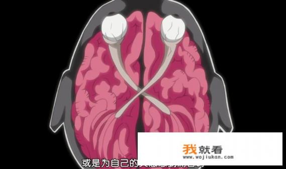 我的世界忍者风暴万花筒写轮眼怎么获得? 我的世界忍者风暴万花筒写轮眼怎么获得?