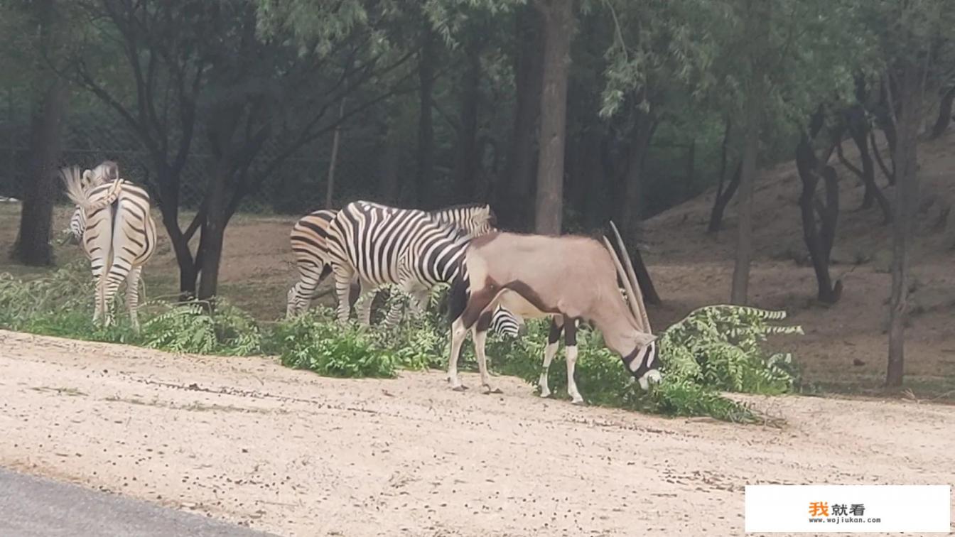 延庆必去的十大景点? 延庆必去的十大景点?