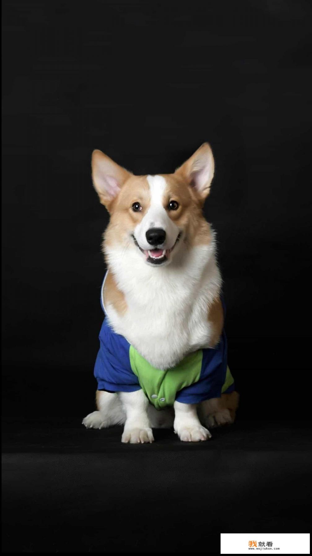 景观、建筑、规划行业存在多少与游戏场景设计跨界合作的可能性? 景观、建筑、规划行业存在多少与游戏场景设计跨界合作的可能性?