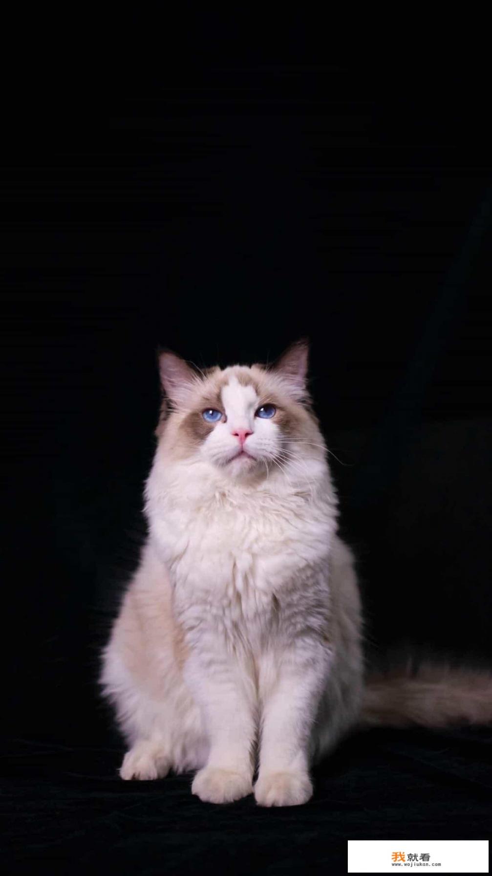 景观、建筑、规划行业存在多少与游戏场景设计跨界合作的可能性? 景观、建筑、规划行业存在多少与游戏场景设计跨界合作的可能性?