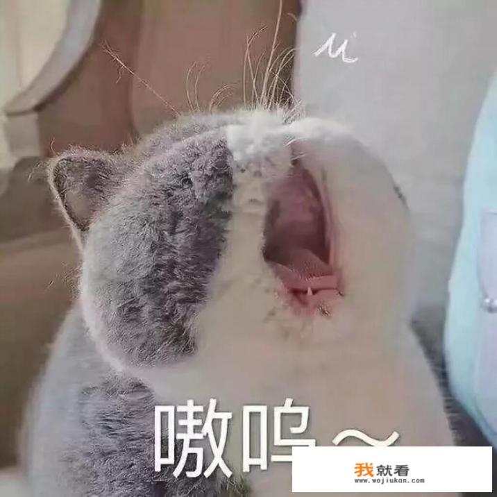 日本游戏《旅行青蛙》大火,你也玩了吗? 日本游戏《旅行青蛙》大火,你也玩了吗?