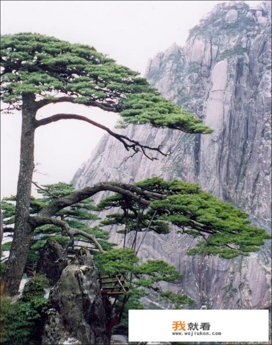 黄山著名景点顺序? 黄山著名景点顺序?