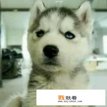 为什么电脑前游戏玩多了会感觉自己的脸很油? 为什么电脑前游戏玩多了会感觉自己的脸很油?